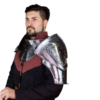 Defianta axelskydd