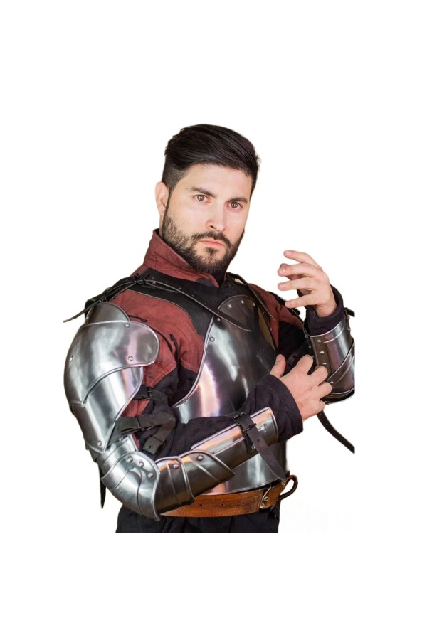 Gawain Complete Arm Protection