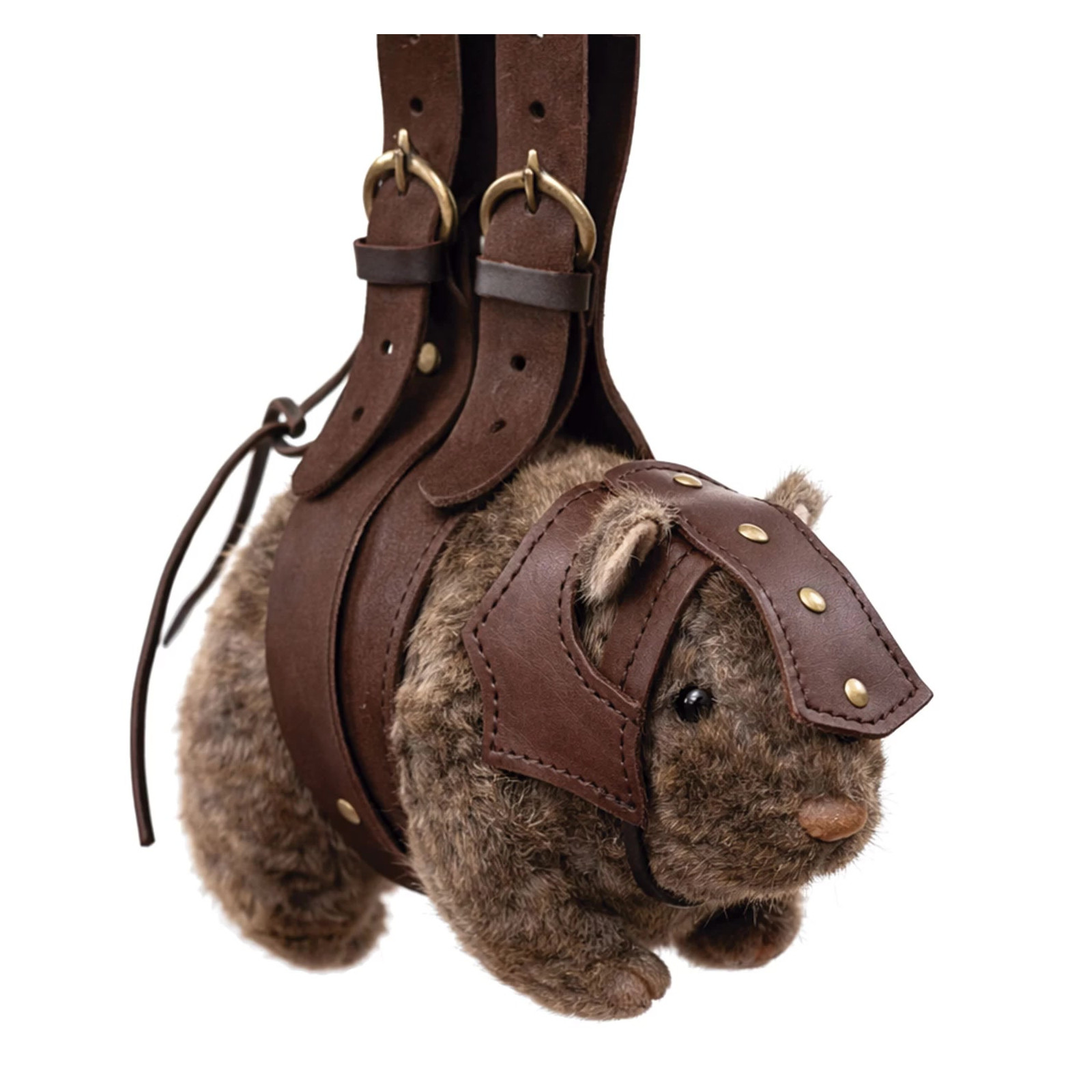 Battle Guinea Pig Louis