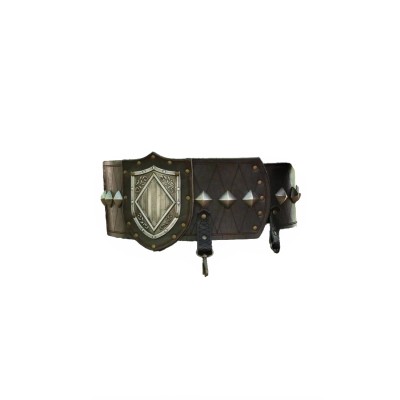 Ceinture aragonale
