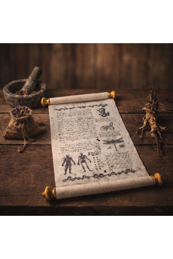 Scholar Scorri con cinturino in pelle