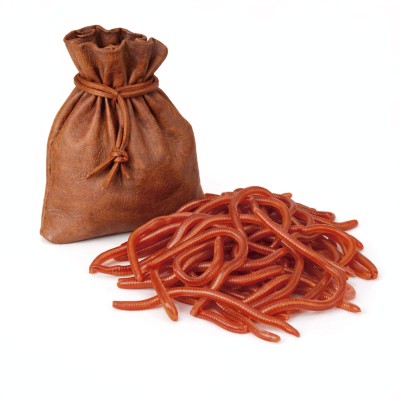 Magical Components - Earthworms