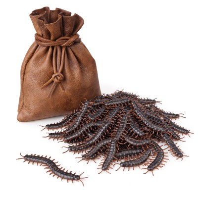 Magische Komponenten - Centipedes