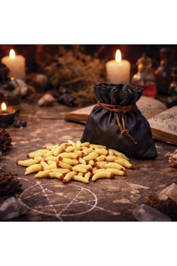 Componenti magici - Maggots