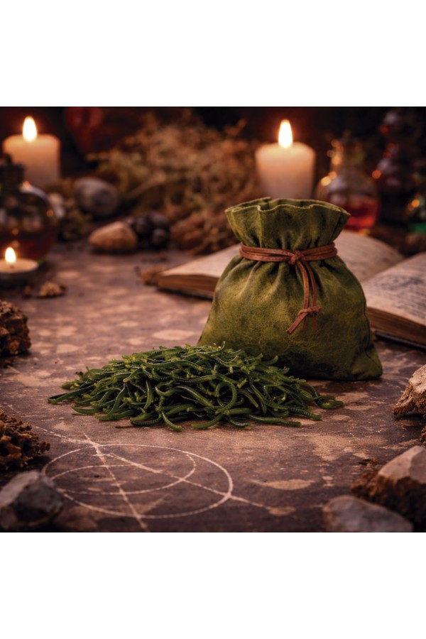 Componenti magici - Vermino Verm