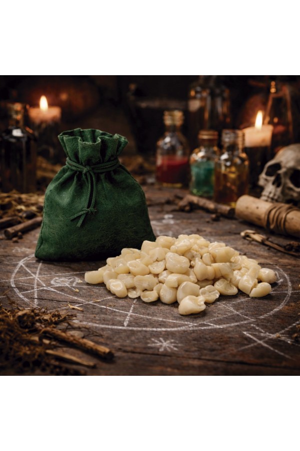 Magical Components - Witch’s Teeth