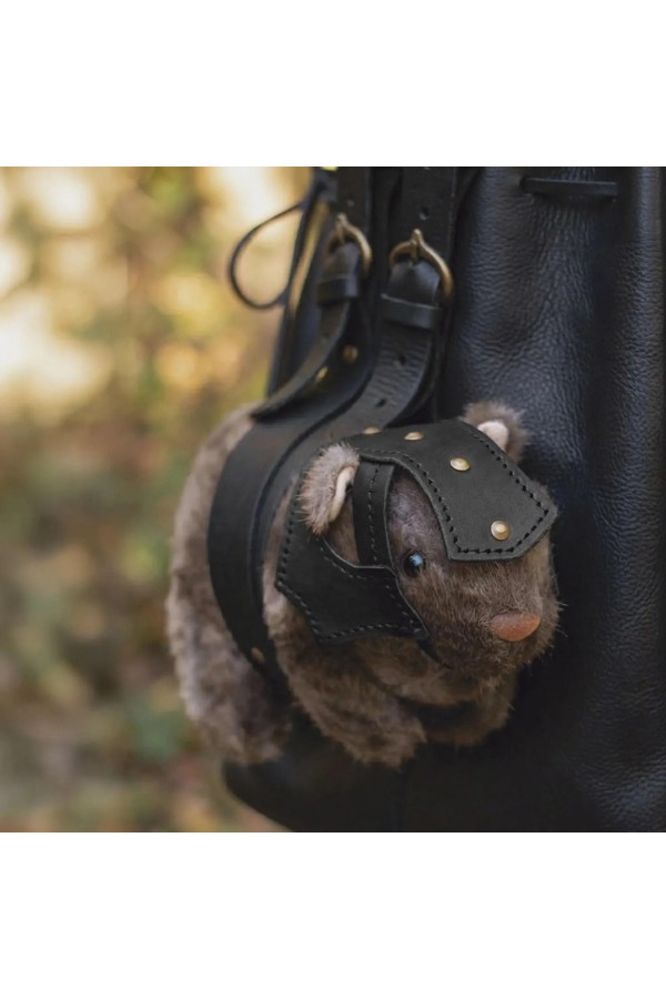 Coniglio cavia da battaglia Louis