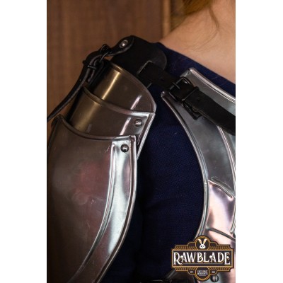 Protector Woman Plate Armor