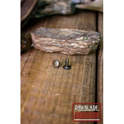 Gammal guldrivnit, liten
