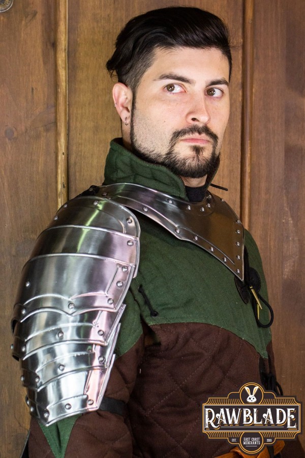 Defender Pauldrons