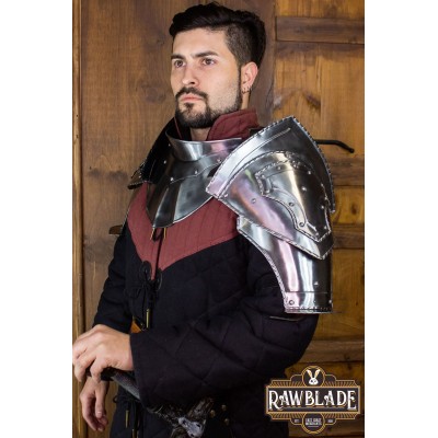 Defianta axelskydd