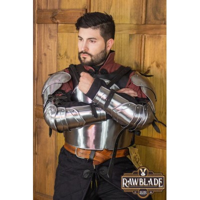 Gawain Complete Arm Protection